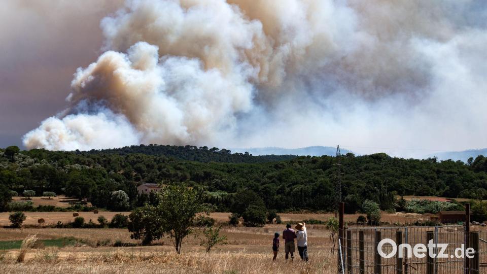 Ein Waldbrand im Nordosten Spaniens hat bisher fast 1.300 Hektar zerstört. Bild: Glòria Sánchez/EUROPA PRESS/dpa