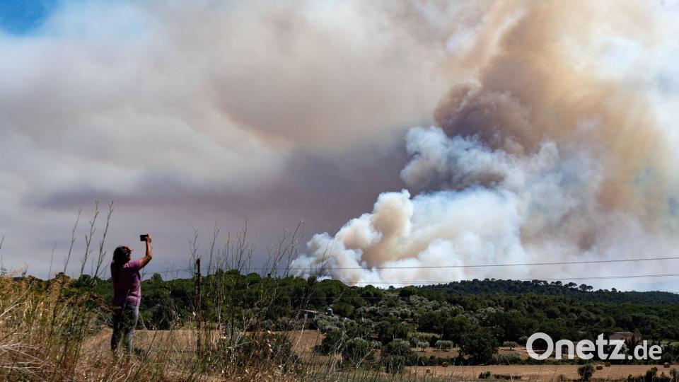Die Polizei nahm nach eigenen Angaben einen Mann fest, der das Feuer durch Arbeiten mit einem Funken schlagenden Trennschleifer ausgelöst haben soll. Bild: Glòria Sánchez/EUROPA PRESS/dpa