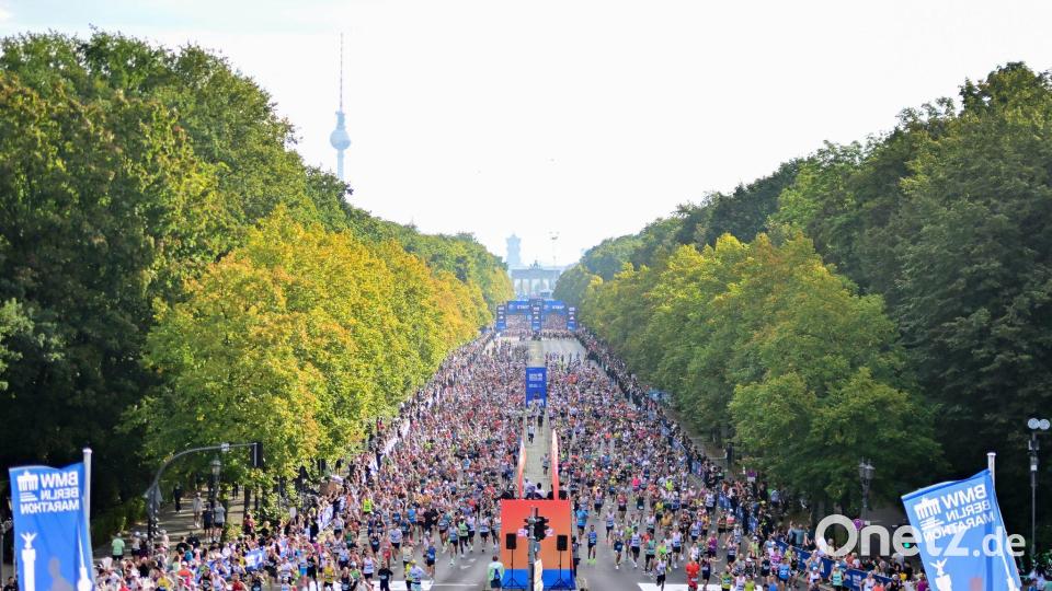 Hunderttausende Läuferdaten aus Berlin flossen in die aktuelle Studie ein. Bild: Sebastian Christoph Gollnow/dpa
