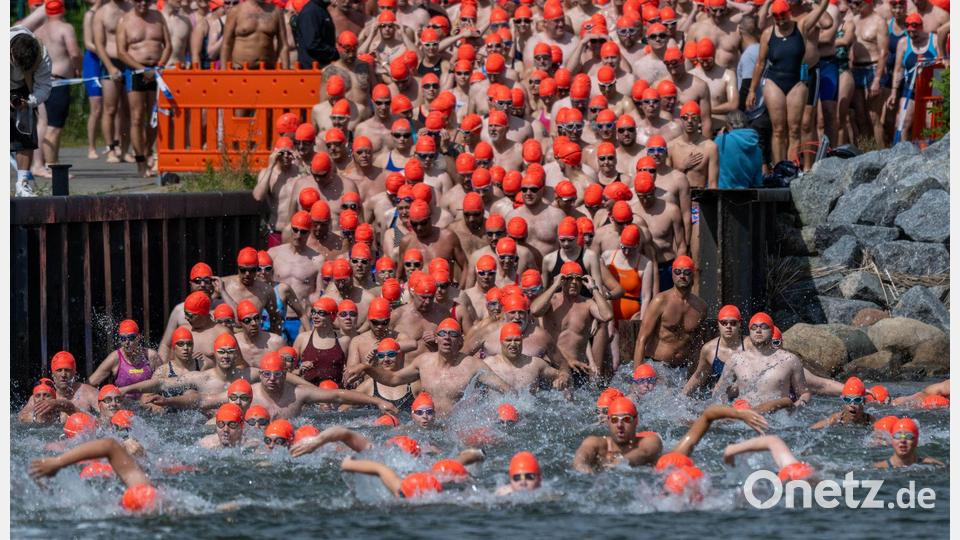 Mit Schwung ins kühle Nass - die Teilnehmer starten zum Internationalen Sundschwimmen im Hafen von Parow bei Stralsund. Bild: Stefan Sauer/dpa