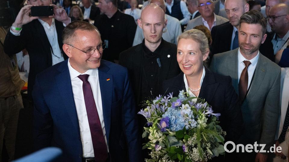 Für Alice Weidel lief die Wiederwahl zur Bundesvorsitzenden etwas besser als für den Co-Vorsitzenden, Tino Chrupalla. Bild: Sebastian Kahnert/dpa