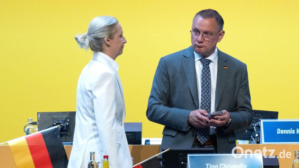 Für Alice Weidel lief die Wiederwahl zur Bundesvorsitzenden etwas besser als für den Co-Vorsitzenden, Tino Chrupalla. Bild: Sebastian Kahnert/dpa