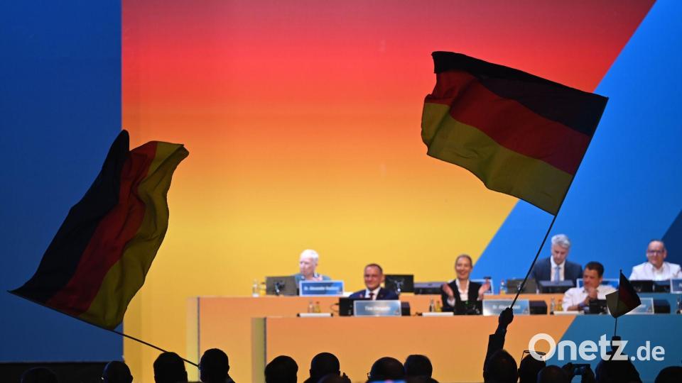 Parteichefin Weidel rief ihre Partei unter großem Jubel dazu auf, „das gesamte Land“ in Schwarz-Rot-Gold zu tauchen. Bild: Katharina Kausche/dpa
