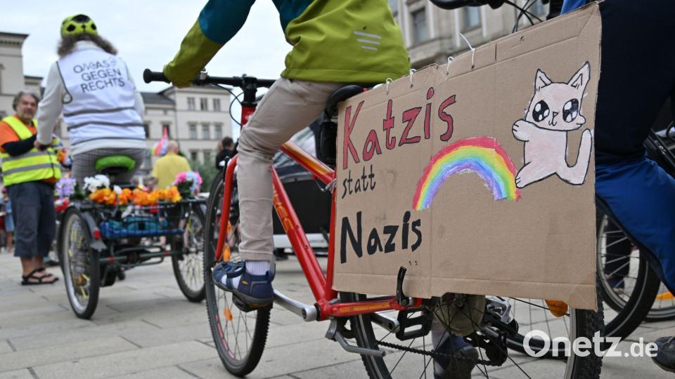 Viele AfD-Gegner kamen mit selbstgebastelten Protestschildern. Bild: Martin Schutt/dpa