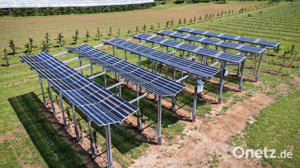 Durch die Y-förmige Anordnung der Module kann Regenwasser gesammelt werden. Bild: Daniel Karmann/dpa