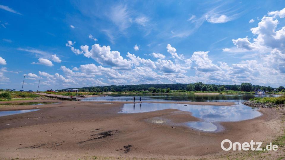 Wegen Niedrigwasser hat eine Elbfähre vorübergehend den Betrieb eingestellt. Bild: Jens Büttner/dpa