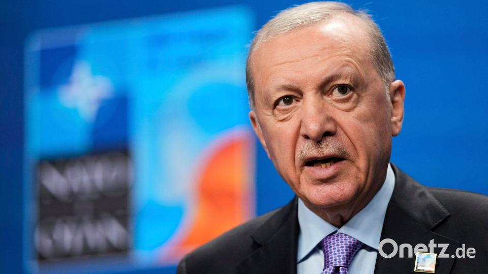 Menschenrechtsorganisationen kritisieren das Vorgehen des türkischen Präsidenten Recep Tayyip Erdogan gegen die Opposition - den Nato-Gipfel darf er dennoch ausrichten. (Archivbild) Bild: Matthias Schrader/AP/dpa