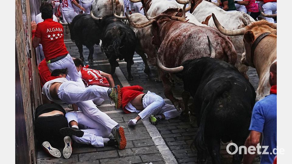 Gefährlich wird es immer, wenn es bei der wilden Hatz zu Stürzen kommt und die Stiere ungewollt auf am Boden liegende Menschen trampeln. Bild: Miguel Oses/AP/dpa