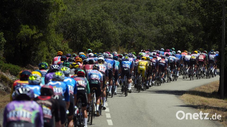 In brütender Hitze unterwegs: Die Profis bei der Tour de France. Bild: Thibault Camus/AP/dpa