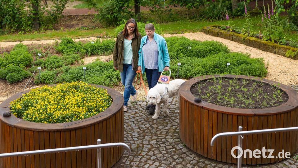Marion Krause geht mit Gartentherapeutin Almut Dietze und ihrem Blindenhund Stella durch den Botanischen Blindengarten Radeberg in Sachsen - der Park ist einmalig in Deutschland. Bild: Jürgen Lösel/dpa