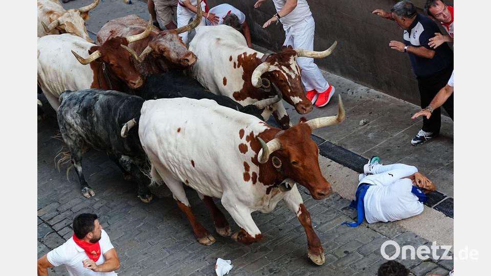 Wer während der Stierrennen in Pamplona stürzt, soll den Kopf mit den Armen vor den Hufen der Stiere schützen und sich möglichst schnell an den Straßenrand rollen. Bild: Miguel Oses/AP/dpa