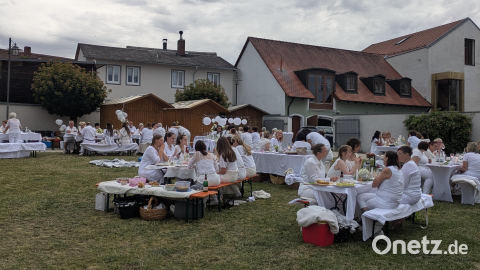 Zum zehnten Mal gab es in den Neuen Gärten in Waldsassen ein Dîner en blanc – traditionell am Dienstag nach dem Bürgerfest. Bild: Paul Zrenner