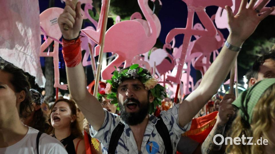 Es geht auch um Brutgebiete der Flamingos - deshalb spricht man inzwischen von der „Flamingo-Revolution“ in Albanien. (Archivbild) Bild: Hameraldi Agolli/AP/dpa