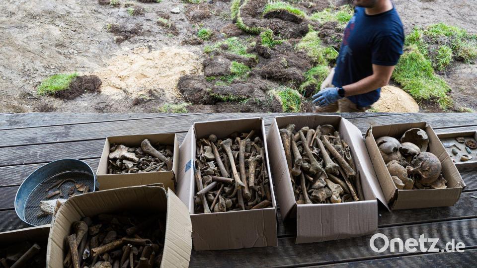 Kistenweise Knochen wurden in dem Garten entdeckt. Bild: Moritz Frankenberg/dpa