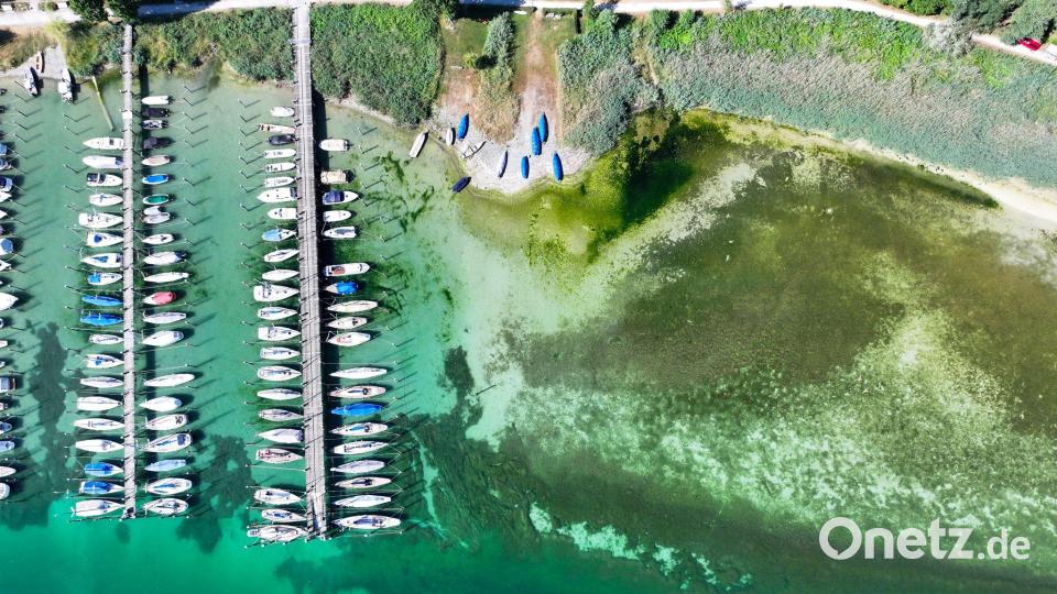 Das Niedrigwasser hat schon erste Auswirkungen. Bild: Felix Kästle/dpa