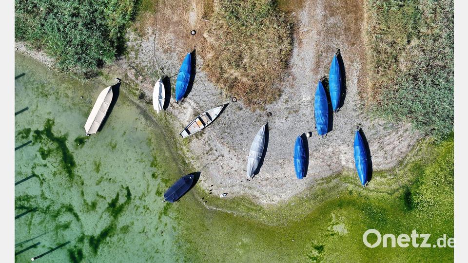 Der Bodensee von oben: Auf der Insel Reichenau liegen die Boote der Berufsfischer an Land. Bild: Felix Kästle/dpa