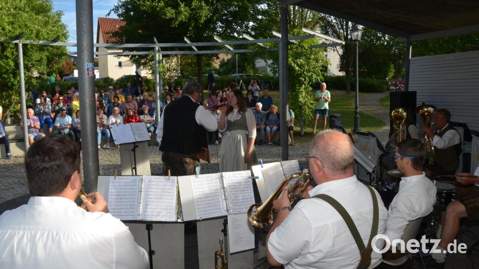 Rudi Salomon und Max Hochwarth aus Eslarn (Flügelhorn), Felix Griesbach (Trompete und Leiter), Robert Kraus aus Oberviechtach (Tenorhorn), Manuela Grünauer (Bariton), Hannah Griesbach (Bariton und Gesang), Hans-Peter Reil (Posaune, Gesang und Moderation), Georg Kleber (Tuba), Richard Wagner (Akkordeon) und Josef Pflaum sen. (Schlagzeug) sind die Gruppe "Blech G'misch". Bild: Elisabeth Dobmayer