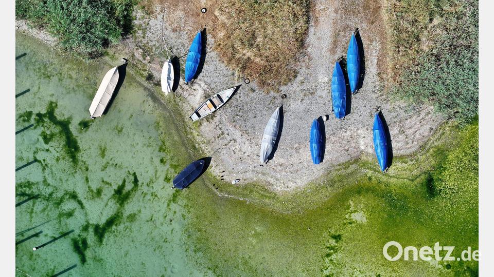 Das seichte Wasser zeigt den niedrigen Wasserstand. Bild: Felix Kästle/dpa