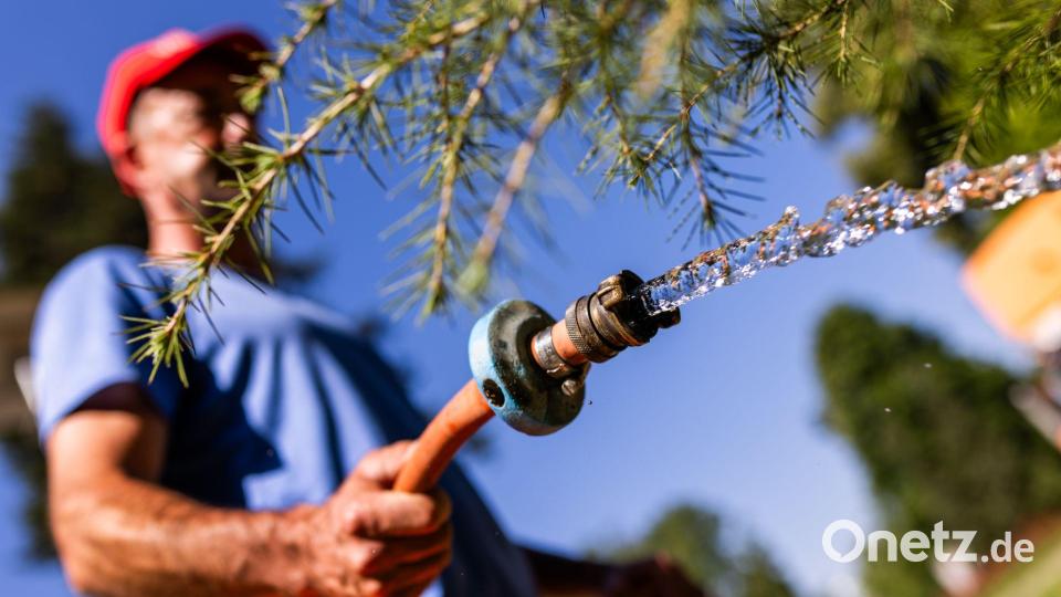 Wasser wird mancherorts schon für Menschen knapp - Pflanzen zu gießen, wird dann oft untersagt. (Symbolbild) Bild: Philipp von Ditfurth/dpa