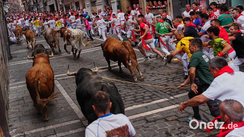 Vierter Stierlauf des San-Fermín-Festes: Teilnehmer laufen neben den Kampfstieren von Álvaro Núnez her. Bild: Miguel Oses/AP/dpa