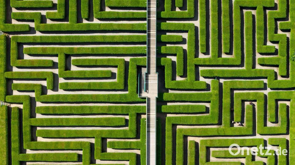 Besucher gehen im Irrgarten zwischen Thuja-Hecken-Pflanzen entlang. Bild: Sebastian Kahnert/dpa