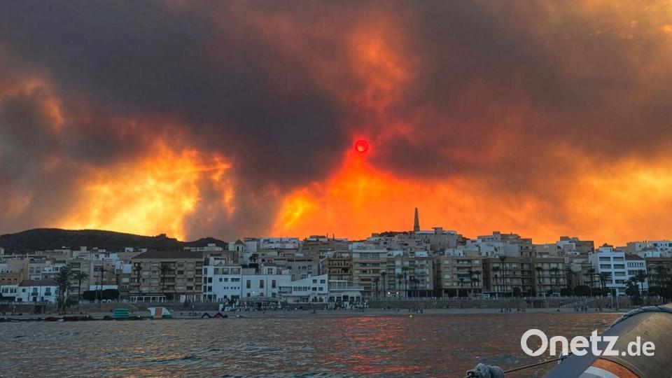 Der Waldbrand in Los Gallardos gilt als der bislang schwerste in Andalusien. Bild: Europa Press/EUROPA PRESS/dpa