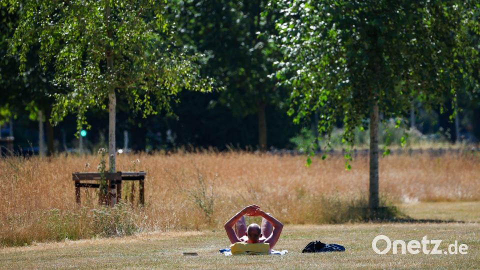 Der UV-Index ist hoch, daher sollte man sich schützen, sagt der DWD Bild: Christoph Reichwein/dpa