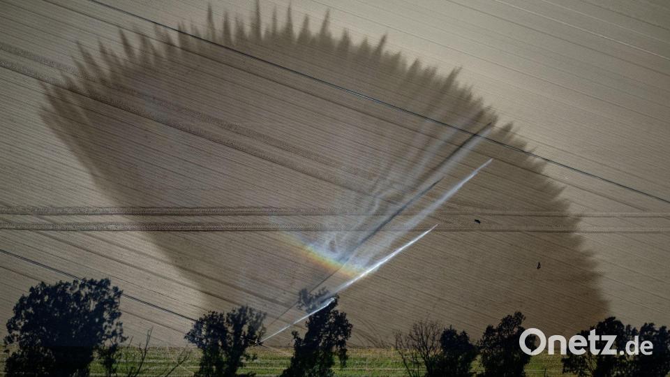 Trockenheit in Deutschland: Ein Feld bei Köln wird bewässert. Bild: Henning Kaiser/dpa