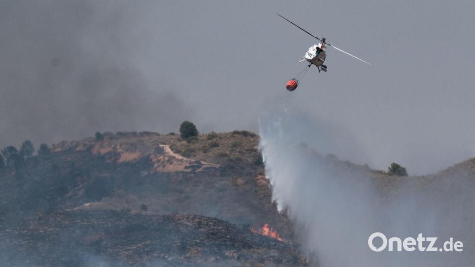Rund 6.600 Hektar Wald- und Buschfläche sind bereits verbrannt. Bild: Gregorio Marrero/AP/dpa