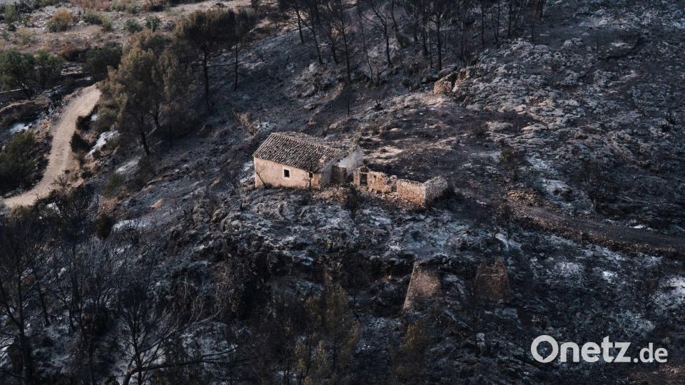 Der tödliche Waldbrand im spanischen Andalusien hat ein Stück Land in Asche verwandelt. Bild: Gregorio Marrero/AP/dpa