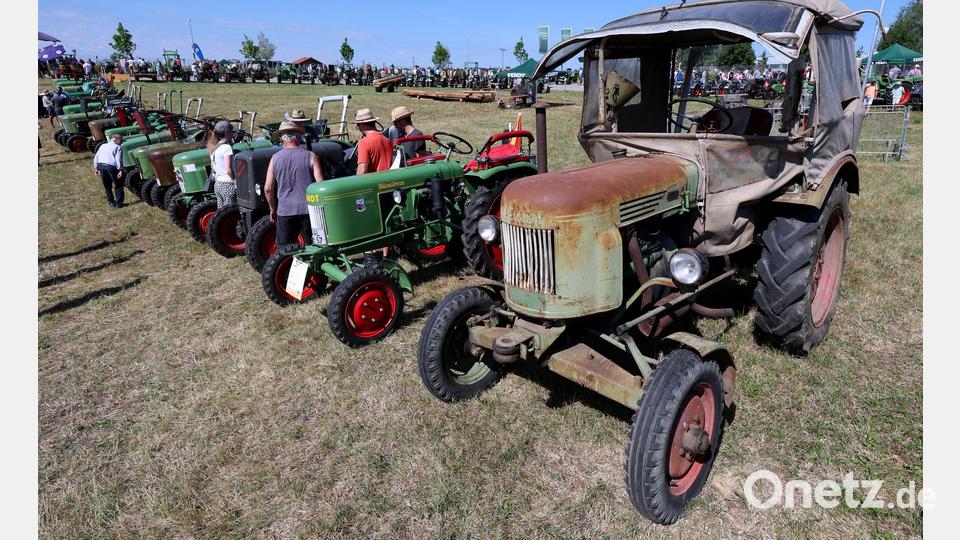 Ein Oldtimer-Traktor schöner als der andere. Bild: Karl-Josef Hildenbrand/dpa