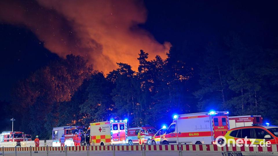 In Nürnberg brannte ein Waldstück. Bild: Sven Grundmann/NEWS5/dpa