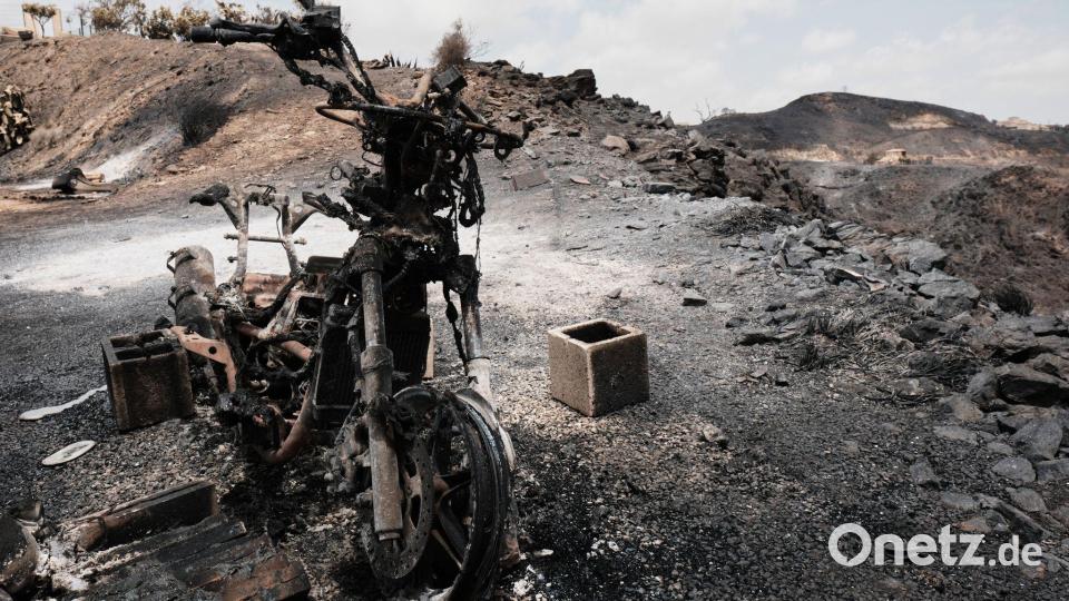 Ein von Waldbränden verwüstetes Gebiet in Andalusien. Bild: Gregorio Marrero/AP/dpa