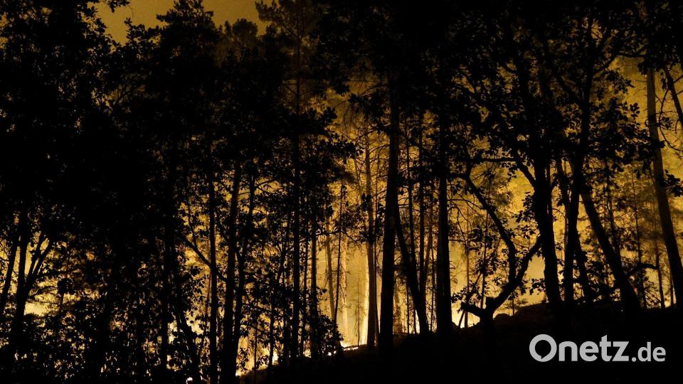 Die Feuerwehr kämpft mit rund 400 Kräften und Löschflugzeugen gegen den Brand im Wald von Fontainebleau. Bild: Geoffroy Van Der Hasselt/AFP/dpa