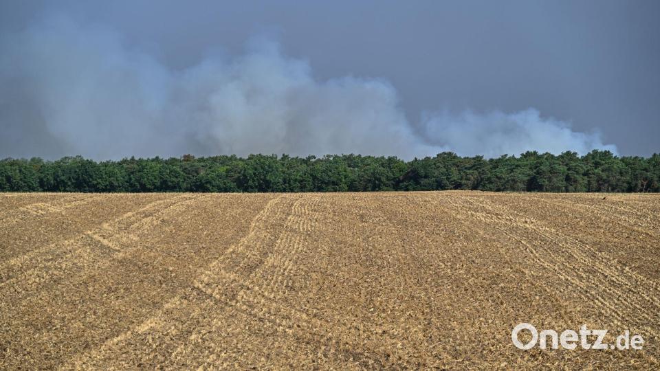Möglicherweise ist der Brand im Wald von Fontainebleau absichtlich gelegt worden. Bild: Emma Da Silva/AP/dpa