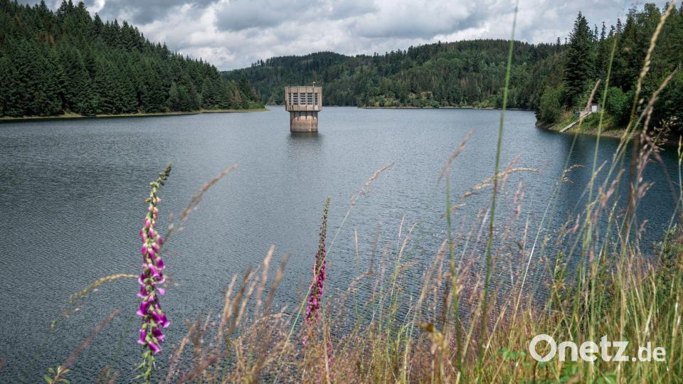 Trinkwassertalsperren können bei Bedarf aushelfen. (Archivbild) Bild: Daniel Vogl/dpa