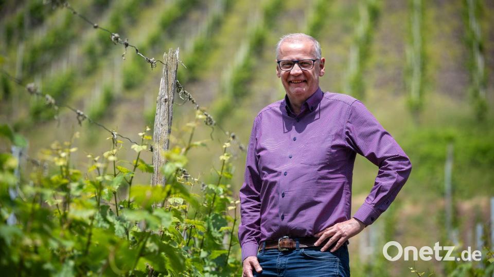 Zwischen den Riesling-Reben: Abseits des Fernsehstudios ist Günther Jauch gerne auf seinem Weingut an der Saar. (Archivbild) Bild: Harald Tittel/dpa