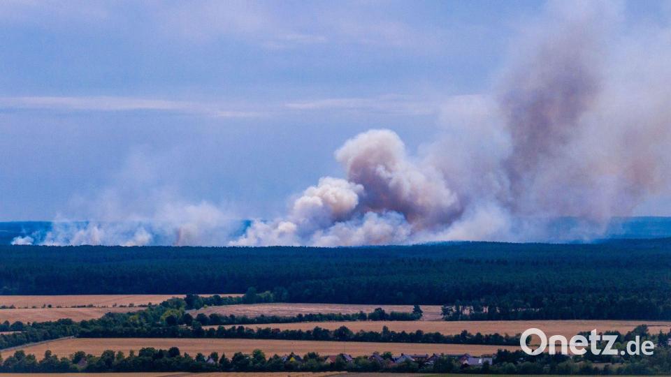 Rauchwolken bei Waldbrand im Müritz-Nationalpark Bild: Jens Büttner/dpa