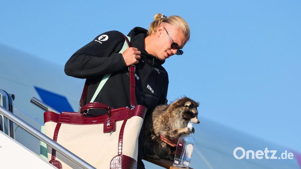 Erling Haaland mit seinem tierischen Souvenir. Bild: Jan Langhaug/NTB Scanpix/AP/dpa