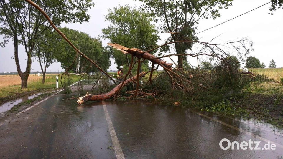 Ein Feuerwehrmann befreit bei Ludwigslust-Parchim eine Straße nach einem Gewitter von einem herabgefallenen Ast. Bild: Ralf Drefin/SWM DV Studio/dpa