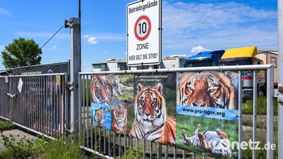 Der von dem Tiger angegriffene Pfleger ist gestorben. Archivbild: Heiko Rebsch/dpa