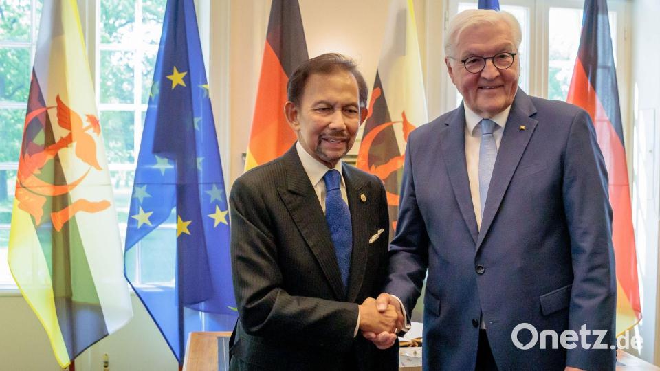 Erst im Mai wurde der Sultan vom Bundespräsidenten empfangen. (Archivbild) Bild: Carsten Koall/dpa