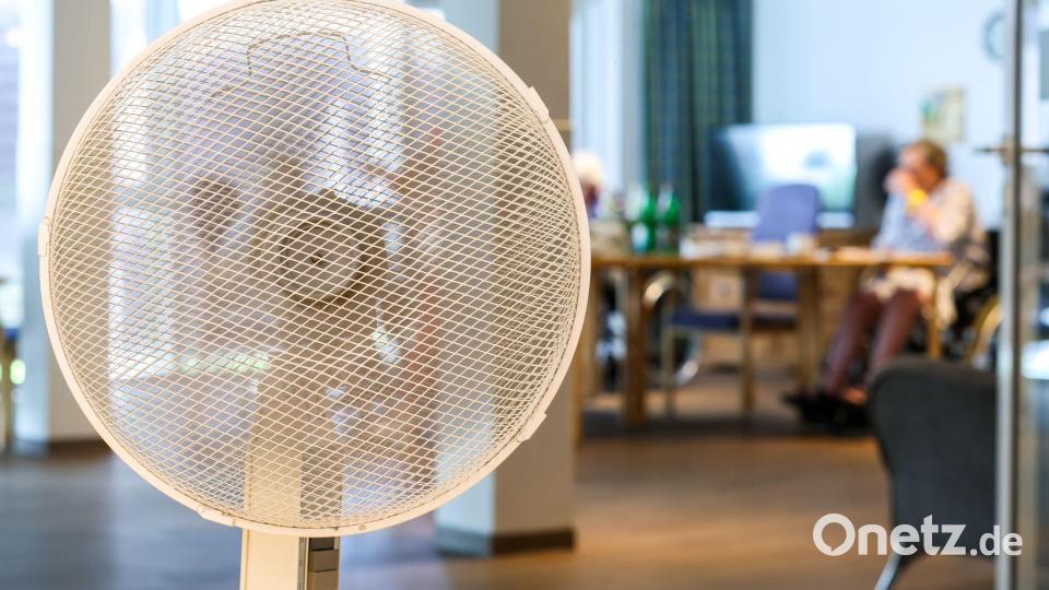 Ventilatoren sind in diesen Wochen besonders begehrt. Bild: Christoph Reichwein/dpa