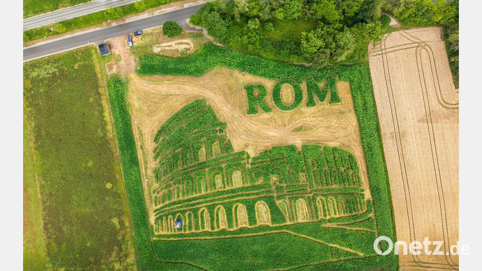 Das traditionelle Uttinger Feld-Labyrinth zeigt dieses Jahr das Kolosseum in Rom. Bild: Peter Kneffel/dpa