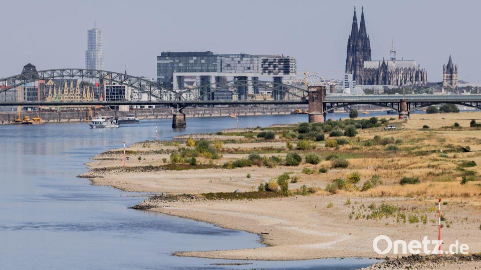 Trockenheit herrscht auch in Köln. Bild: Rolf Vennenbernd/dpa