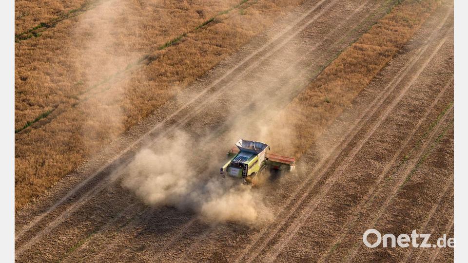 Trocken und staubig: Eine Erntemaschine fährt über ein Feld mit Futtererbsen in Sachsen. Bild: Sebastian Kahnert/dpa