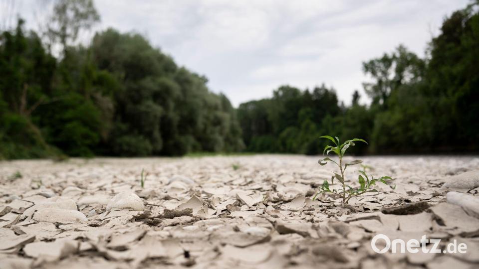 Auch die Schweiz hat mit Wassermangel zu kämpfen. Bild: Anthony Anex/KEYSTONE/dpa