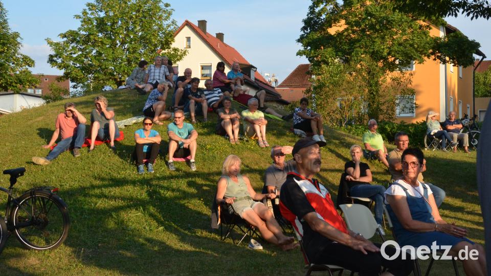 Im Schein der untergehenden Abendsonne saßen die Zuhörer auf dem "Kulturhügel" im Stadtpark und lauschten der wunderbaren Musik. Bild: Elisabeth Dobmayer