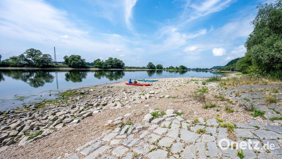 Die Donau führt nahe Straubing Niedrigwasser. Bild: Armin Weigel/dpa