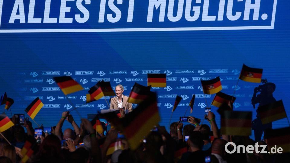 AfD-Chefin Alice Weidel sprach beim Wahlkampfauftakt in Magdeburg. Bild: Klaus-Dietmar Gabbert/dpa